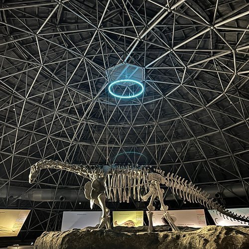 🦀 가사오카 시립 투구게 박물관(가사오카시리쓰카부토가니하쿠부쓰칸) 이미지 5